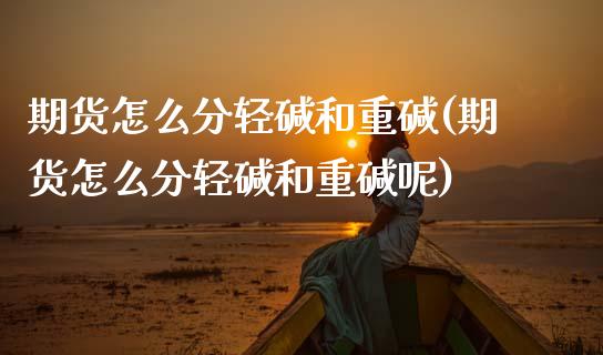 期货怎么分轻碱和重碱(期货怎么分轻碱和重碱呢)_期货入门_第1张_珍投期货网 期货怎么分轻碱和重碱(期货怎么分轻碱和重碱呢)_https://www.zztgc.com_期货入门_第1张