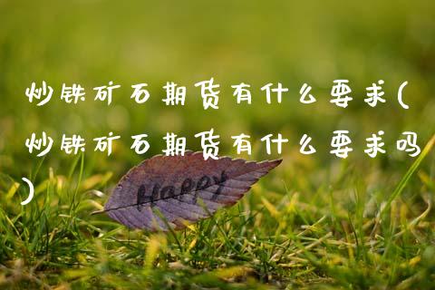 炒铁矿石期货有什么要求(炒铁矿石期货有什么要求吗)_https://www.zztgc.com_期货入门_第1张