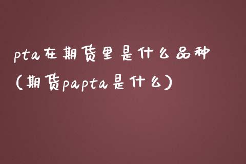 pta在期货里是什么品种(期货papta是什么)_https://www.zztgc.com_期货入门_第1张