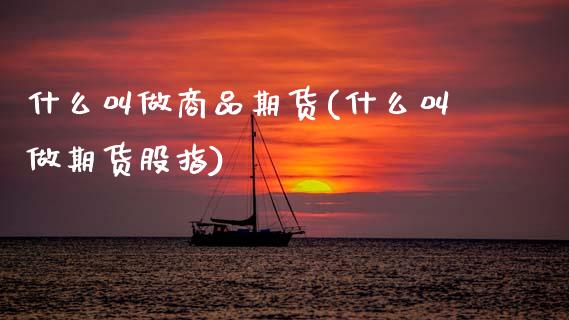 什么叫做商品期货(什么叫做期货股指)_https://www.zztgc.com_期货入门_第1张