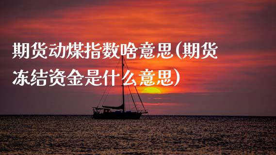 期货动煤指数啥意思(期货冻结资金是什么意思)_https://www.zztgc.com_期货行情_第1张