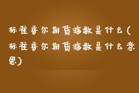 标准普尔期货指数是什么(标准普尔期货指数是什么意思)_https://www.zztgc.com_黄金期货_第1张