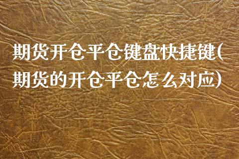 期货开仓平仓键盘快捷键(期货的开仓平仓怎么对应)_https://www.zztgc.com_期货直播_第1张