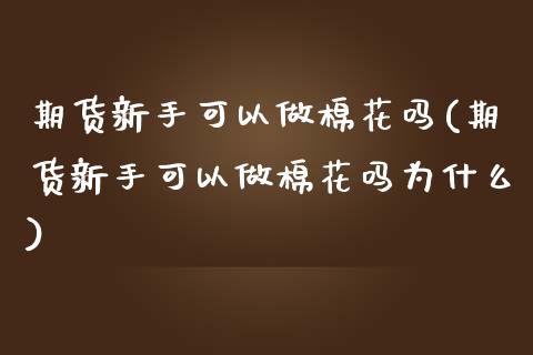 期货新手可以做棉花吗(期货新手可以做棉花吗为什么)_https://www.zztgc.com_期货直播_第1张