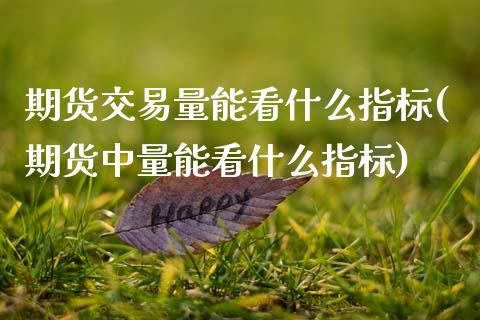 期货交易量能看什么指标(期货中量能看什么指标)_https://www.zztgc.com_期货开户_第1张