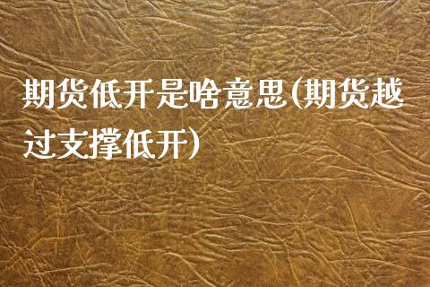 期货低开是啥意思(期货越过支撑低开)_https://www.zztgc.com_期货直播_第1张