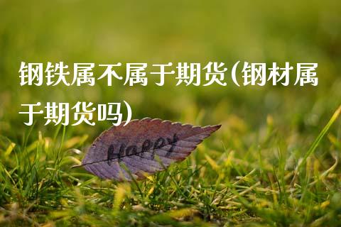 钢铁属不属于期货(钢材属于期货吗)_https://www.zztgc.com_黄金期货_第1张