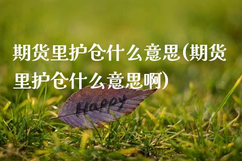 期货里护仓什么意思(期货里护仓什么意思啊)_期货行情_第1张_珍投期货网 期货里护仓什么意思(期货里护仓什么意思啊)_https://www.zztgc.com_期货行情_第1张