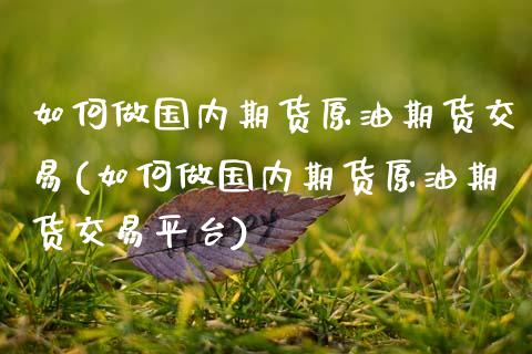 如何做国内期货原油期货交易(如何做国内期货原油期货交易平台)_https://www.zztgc.com_期货行情_第1张