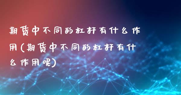 期货中不同的杠杆有什么作用(期货中不同的杠杆有什么作用呢)_https://www.zztgc.com_期货行情_第1张