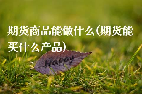 期货商品能做什么(期货能买什么产品)_https://www.zztgc.com_期货直播_第1张