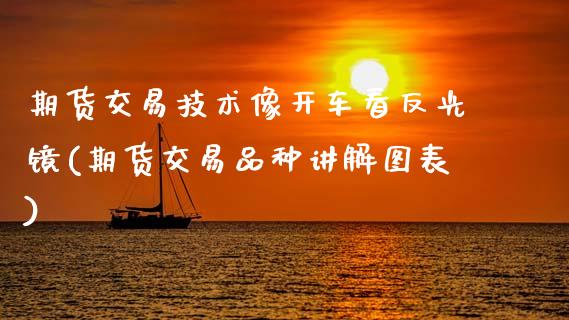 期货交易技术像开车看反光镜(期货交易品种讲解图表)_https://www.zztgc.com_期货行情_第1张
