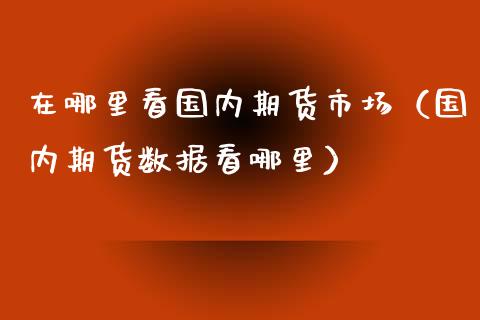 在哪里看国内期货市场（国内期货数据看哪里）_https://www.zztgc.com_黄金期货_第1张
