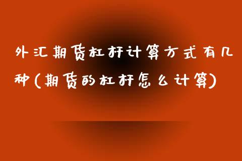 外汇期货杠杆计算方式有几种(期货的杠杆怎么计算)_https://www.zztgc.com_黄金期货_第1张