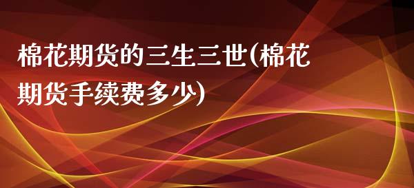 棉花期货的三生三世(棉花期货手续费多少)_https://www.zztgc.com_期货直播_第1张