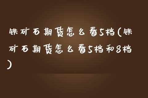 铁矿石期货怎么看5档(铁矿石期货怎么看5档和8档)_https://www.zztgc.com_原油期货_第1张