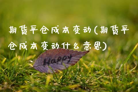 期货平仓成本变动(期货平仓成本变动什么意思)_https://www.zztgc.com_原油期货_第1张
