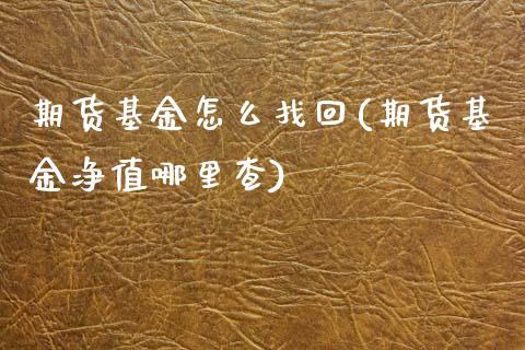 期货基金怎么找回(期货基金净值哪里查)_https://www.zztgc.com_期货入门_第1张
