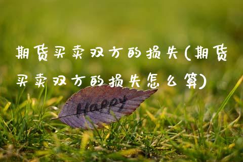 期货买卖双方的损失(期货买卖双方的损失怎么算)_https://www.zztgc.com_期货入门_第1张