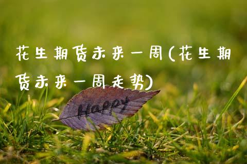 花生期货未来一周(花生期货未来一周走势)_https://www.zztgc.com_期货直播_第1张