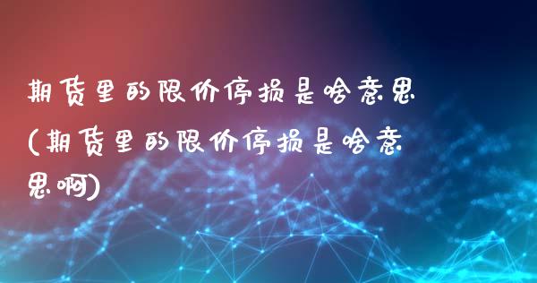 期货里的限价停损是啥意思(期货里的限价停损是啥意思啊)_期货入门_第1张_珍投期货网 期货里的限价停损是啥意思(期货里的限价停损是啥意思啊)_https://www.zztgc.com_期货入门_第1张