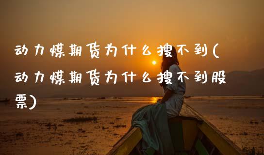 动力煤期货为什么搜不到(动力煤期货为什么搜不到股票)_https://www.zztgc.com_期货行情_第1张