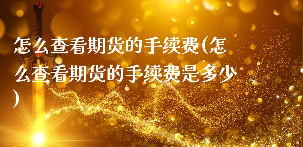 怎么查看期货的手续费(怎么查看期货的手续费是多少)_https://www.zztgc.com_原油期货_第1张
