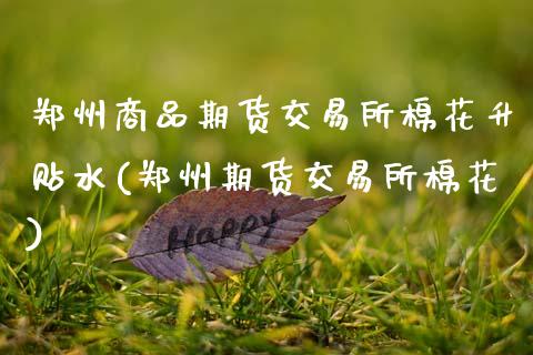 郑州商品期货交易所棉花升贴水(郑州期货交易所棉花)_https://www.zztgc.com_黄金期货_第1张