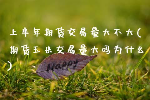 上半年期货交易量大不大(期货玉米交易量大吗为什么)_https://www.zztgc.com_期货直播_第1张