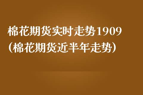 棉花期货实时走势1909(棉花期货近半年走势)_https://www.zztgc.com_期货直播_第1张