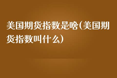 美国期货指数是啥(美国期货指数叫什么)_https://www.zztgc.com_期货直播_第1张