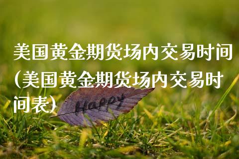 美国黄金期货场内交易时间(美国黄金期货场内交易时间表)_https://www.zztgc.com_黄金期货_第1张