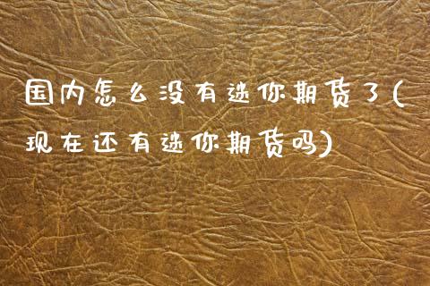 国内怎么没有迷你期货了(现在还有迷你期货吗)_https://www.zztgc.com_期货入门_第1张