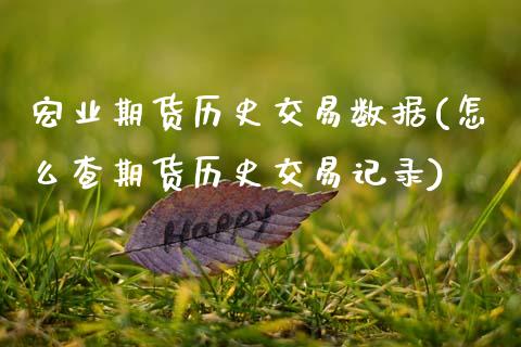 宏业期货历史交易数据(怎么查期货历史交易记录)_https://www.zztgc.com_期货入门_第1张
