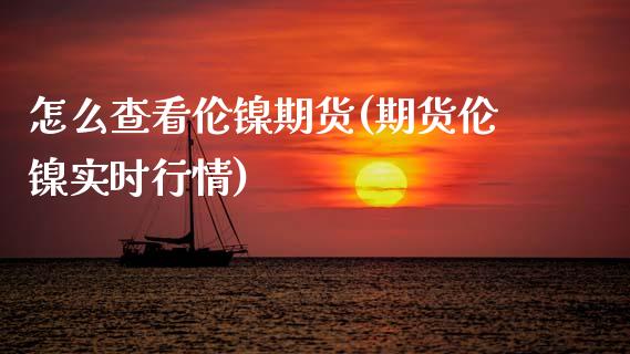 怎么查看伦镍期货(期货伦镍实时行情)_https://www.zztgc.com_期货入门_第1张