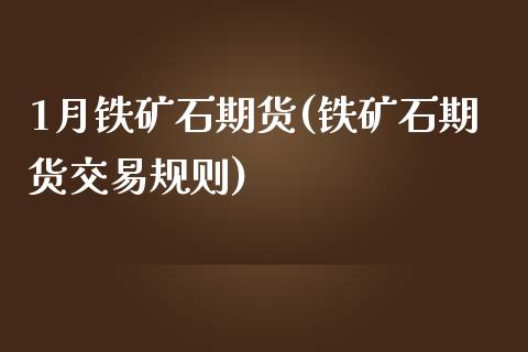 1月铁矿石期货(铁矿石期货交易规则)_https://www.zztgc.com_期货入门_第1张