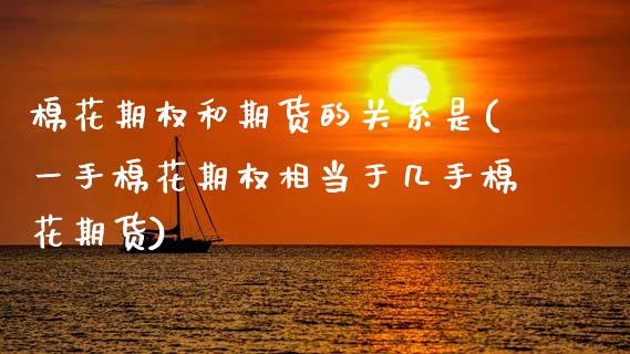 棉花期权和期货的关系是(一手棉花期权相当于几手棉花期货)_https://www.zztgc.com_期货入门_第1张