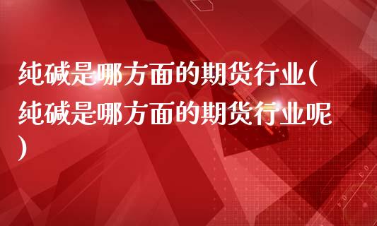 纯碱是哪方面的期货行业(纯碱是哪方面的期货行业呢)_https://www.zztgc.com_黄金期货_第1张