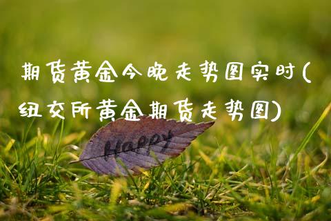 期货黄金今晚走势图实时(纽交所黄金期货走势图)_https://www.zztgc.com_期货开户_第1张