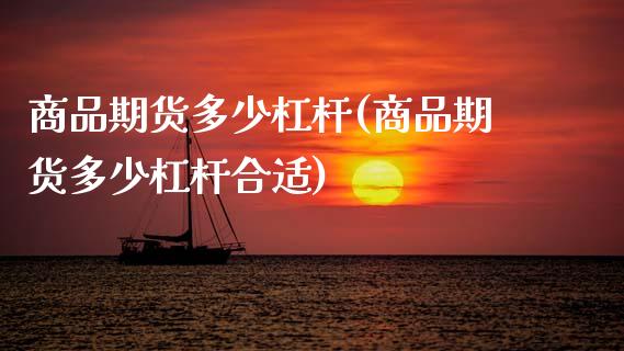 商品期货多少杠杆(商品期货多少杠杆合适)_https://www.zztgc.com_期货开户_第1张