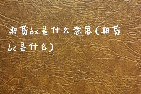 期货bz是什么意思(期货bc是什么)_https://www.zztgc.com_期货入门_第1张