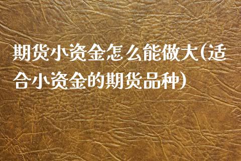期货小资金怎么能做大(适合小资金的期货品种)_https://www.zztgc.com_期货行情_第1张