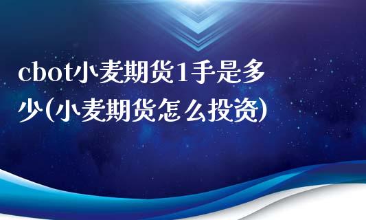 cbot小麦期货1手是多少(小麦期货怎么投资)_https://www.zztgc.com_期货行情_第1张