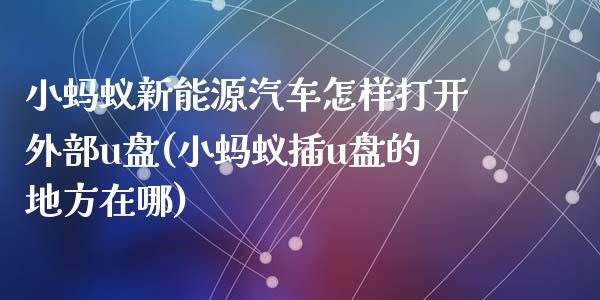 小蚂蚁新能源汽车怎样打开外部u盘(小蚂蚁插u盘的地方在哪)_https://www.zztgc.com_期货直播_第1张