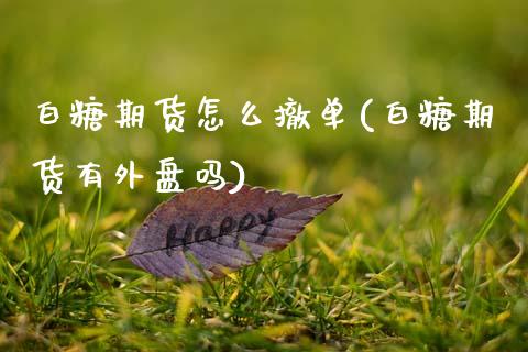 白糖期货怎么撤单(白糖期货有外盘吗)_https://www.zztgc.com_期货入门_第1张