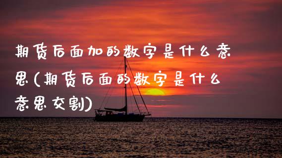 期货后面加的数字是什么意思(期货后面的数字是什么意思交割)_https://www.zztgc.com_期货直播_第1张