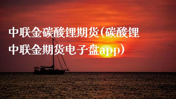 中联金碳酸锂期货(碳酸锂中联金期货电子盘app)_https://www.zztgc.com_期货入门_第1张
