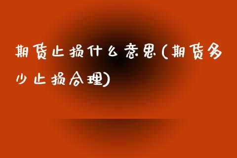 期货止损什么意思(期货多少止损合理)_https://www.zztgc.com_期货行情_第1张