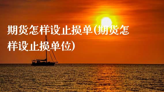 期货怎样设止损单(期货怎样设止损单位)_https://www.zztgc.com_期货直播_第1张