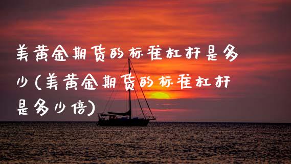 美黄金期货的标准杠杆是多少(美黄金期货的标准杠杆是多少倍)_https://www.zztgc.com_期货直播_第1张